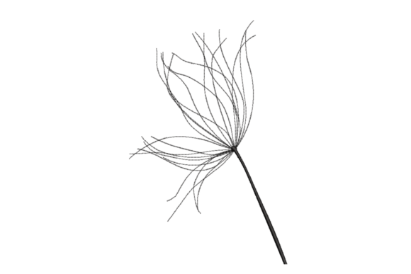Dandelion Seed Head: A Delicate Embroidery Review